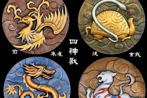 風水 左青龍|青龍、白虎、朱雀、玄武...神獸4方位簡易居家風水檢。